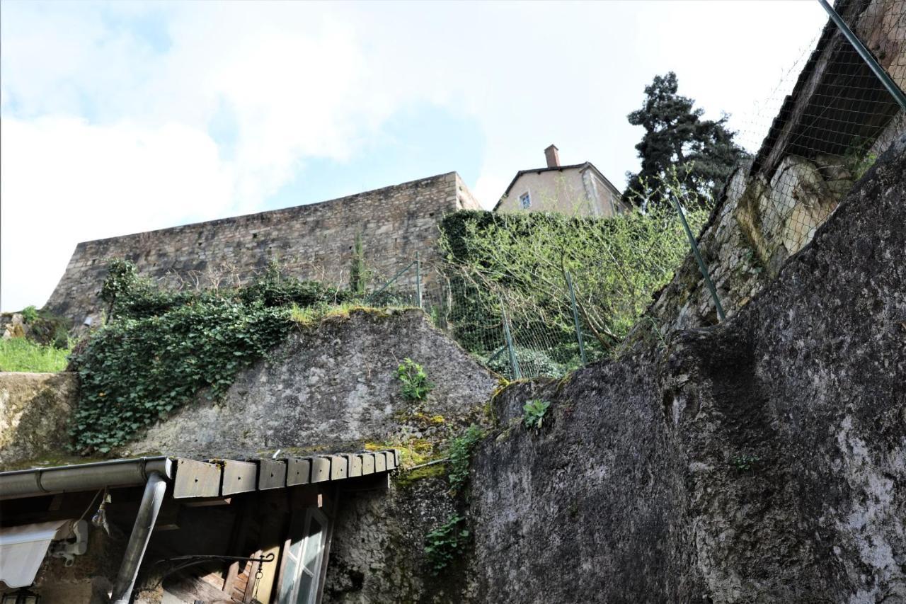 Maison Avec Patio Dans Le Centre Historique Villa Terrasson Exterior foto